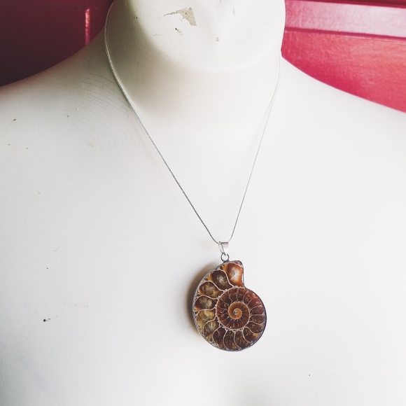 "Regal Revelry"- Silver Ammonite Fossil Necklace - Picture 2 of 6